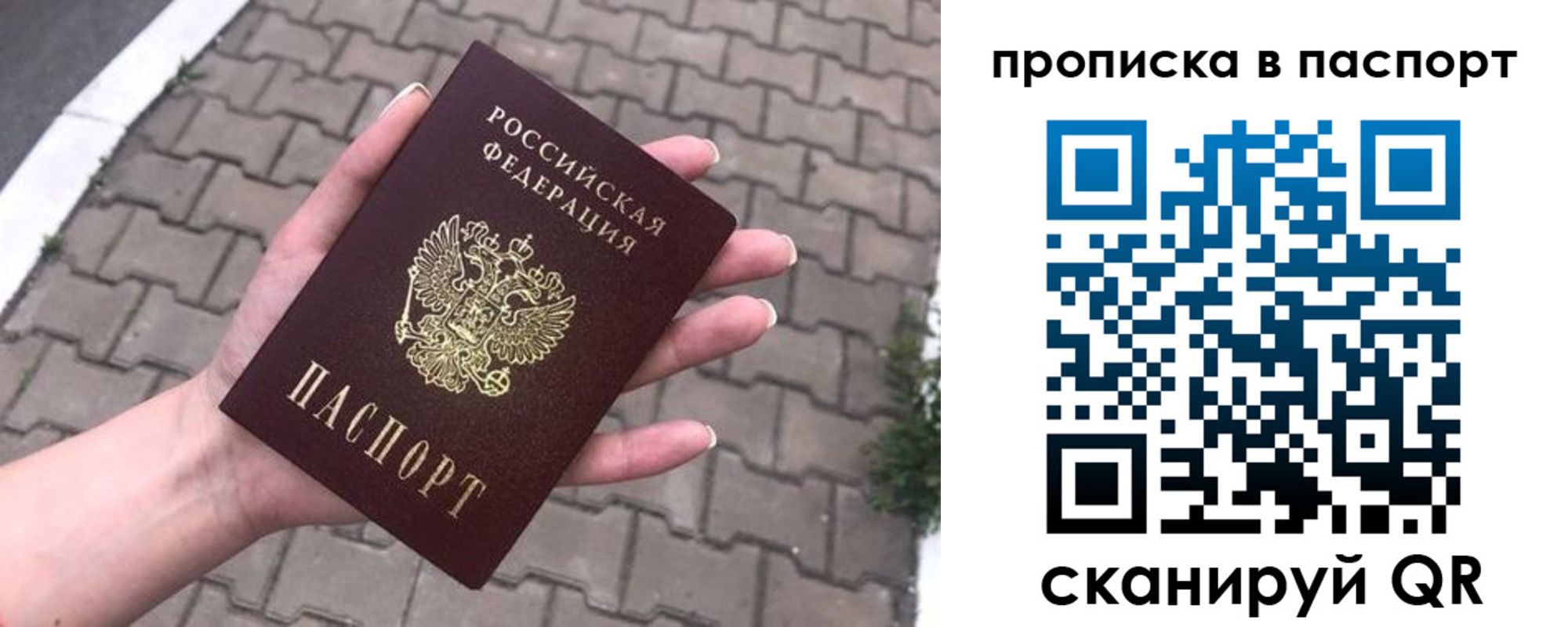 прописка поиск в Венёве